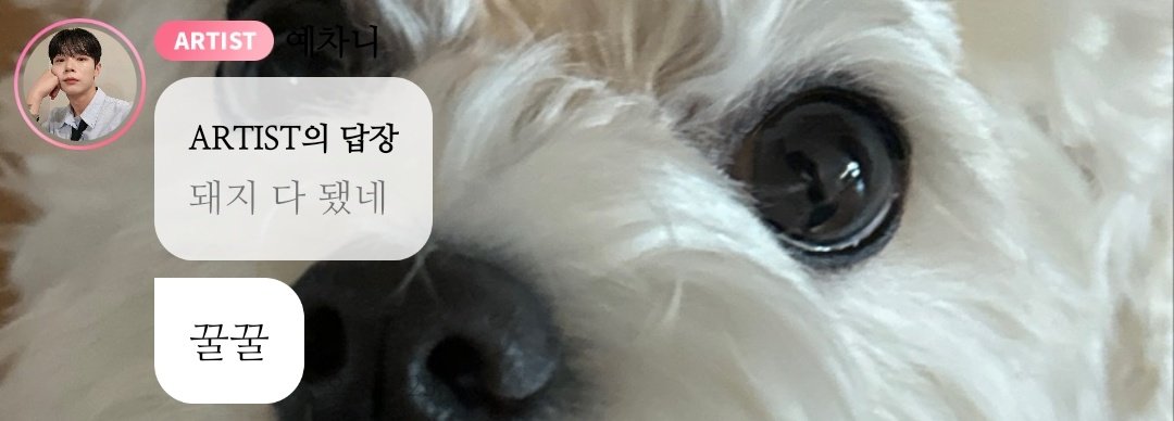 윤윤 tweet media
