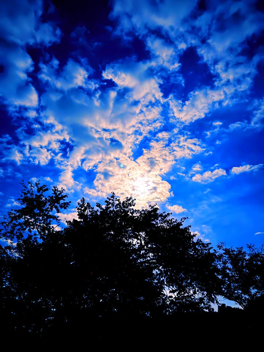 きみのホントは
流れに揺れ
もう声も霞んでしまった

暮らしを折り返し
対岸に憧れ
気まぐれを育み
時の表情を隠す十月の隙間
握り返した手に
芽生えた
君の嘘をふりほどく

どれほどの明日があるっていうのだろう