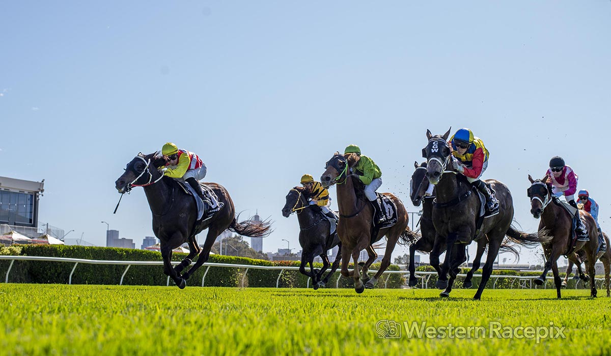 WesternRacepix's tweet image. DIVINE PAIR - Belmont Wed 30th October
@PerthRacing #WesternRacepix #BelmontParkPerth

 More 📸 westernracepix.com
