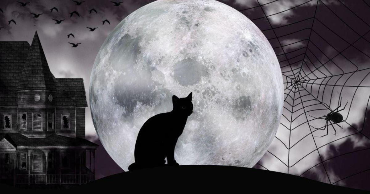 BOO! This October half term join us for a spooky scavenger hunt around the museum and win a sticker.

Embrace spooky season and get creative by making your very own lucky black cat.

All activities are included in museum admission.

Tues 20 Oct - Sat 2nd Nov 
10.00 - 4.30