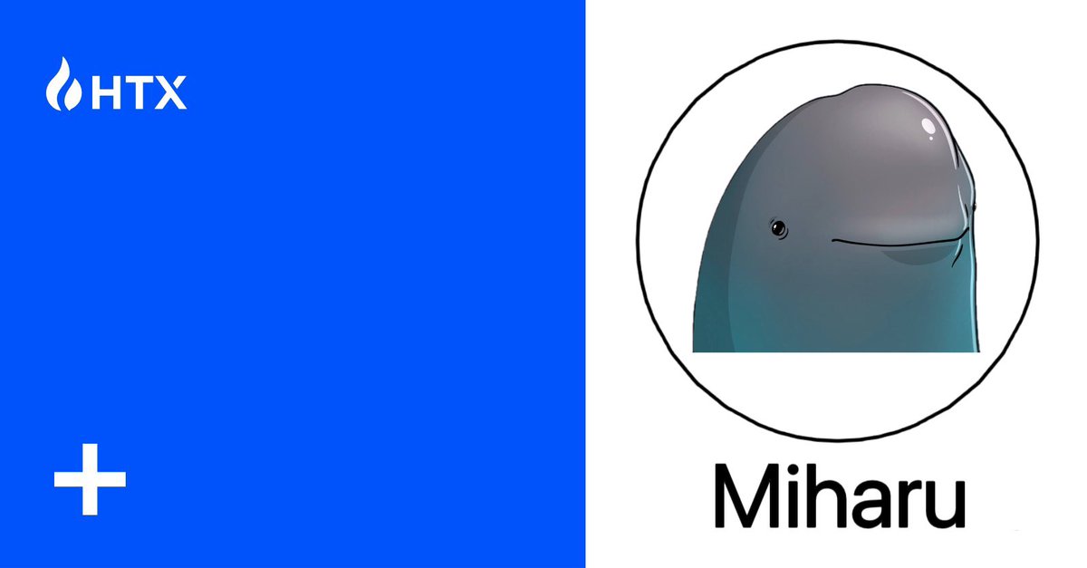 模拟盘天选之子-佩德里 tweet media