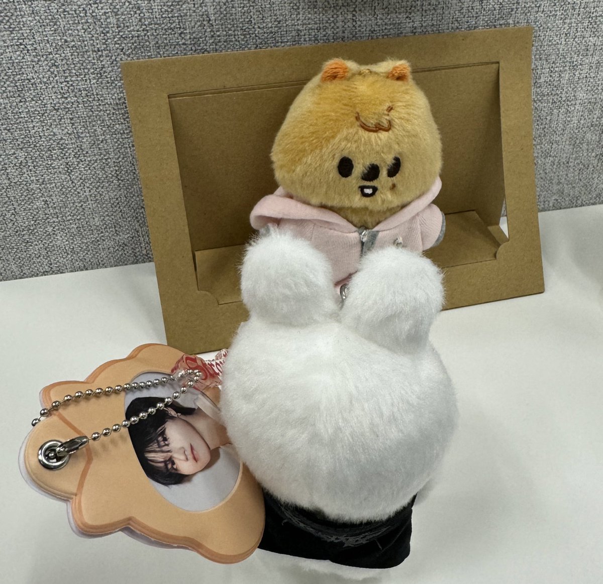 skz_misopudding's tweet photo. 🐿️ソロ公演にアリーナ最前で参戦する🐿️強火ペン🐰 https://t.co/0LLJbGuYFz