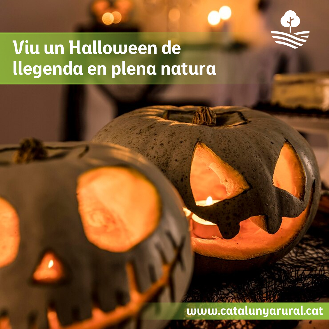 Halloween en plena naturaleza 🎃

Vive una noche mágica entre calabazas y leyendas en un entorno rural. Rodéate de calma y misterio este otoño.

¿Te atreves? Reserva en catalunyarural.cat 🌾  

#HalloweenRural #EscapadaDeMiedo #CatalunyaRural