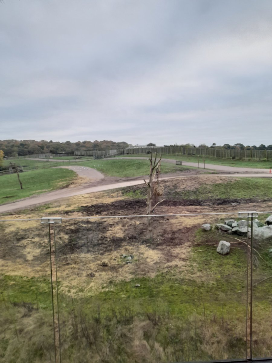 Julie Thorpe 🏴 🇬🇧 tweet media