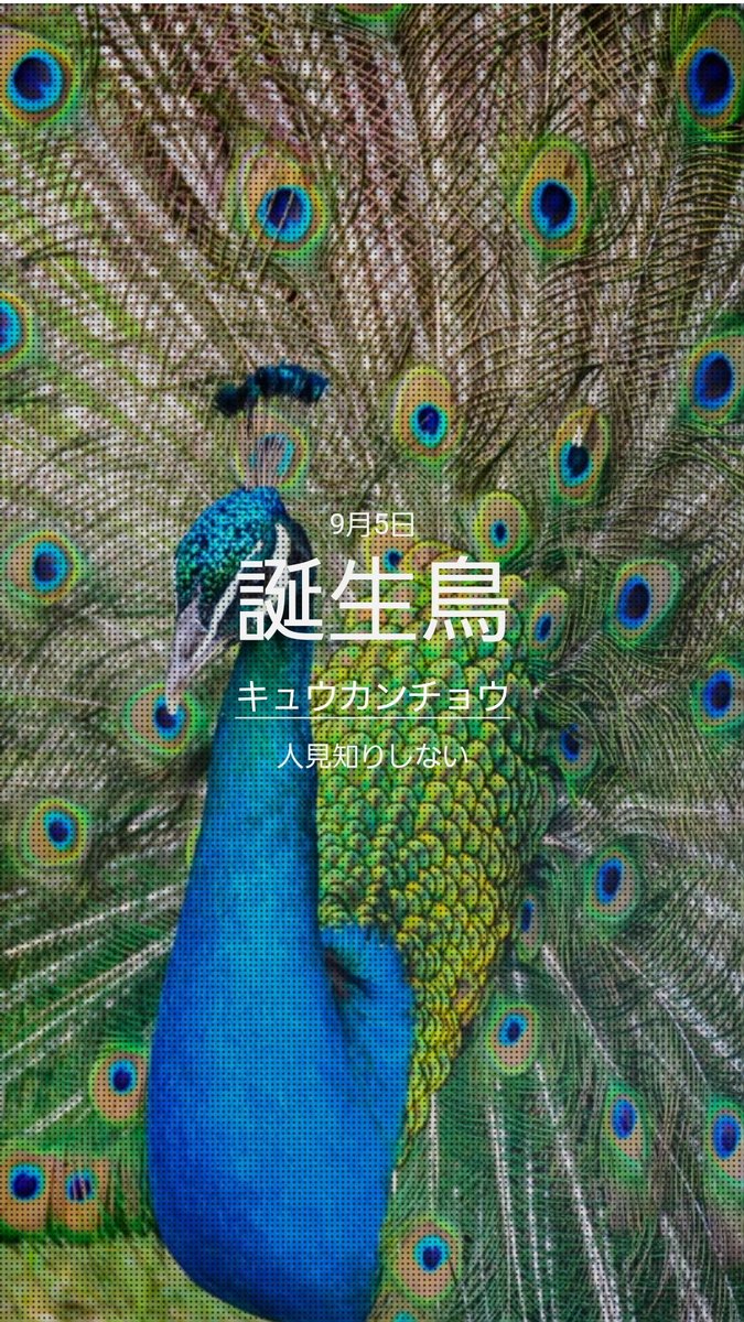 _morun's tweet image. 誕生花とか石とかなんか持ちたいなって思いつつ、なんも持っていない(  ᷇࿀ ᷆ )