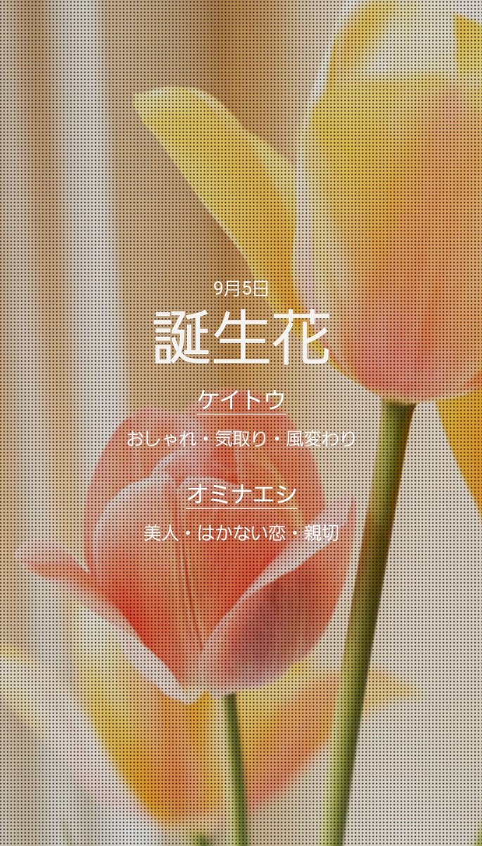 _morun's tweet image. 誕生花とか石とかなんか持ちたいなって思いつつ、なんも持っていない(  ᷇࿀ ᷆ )