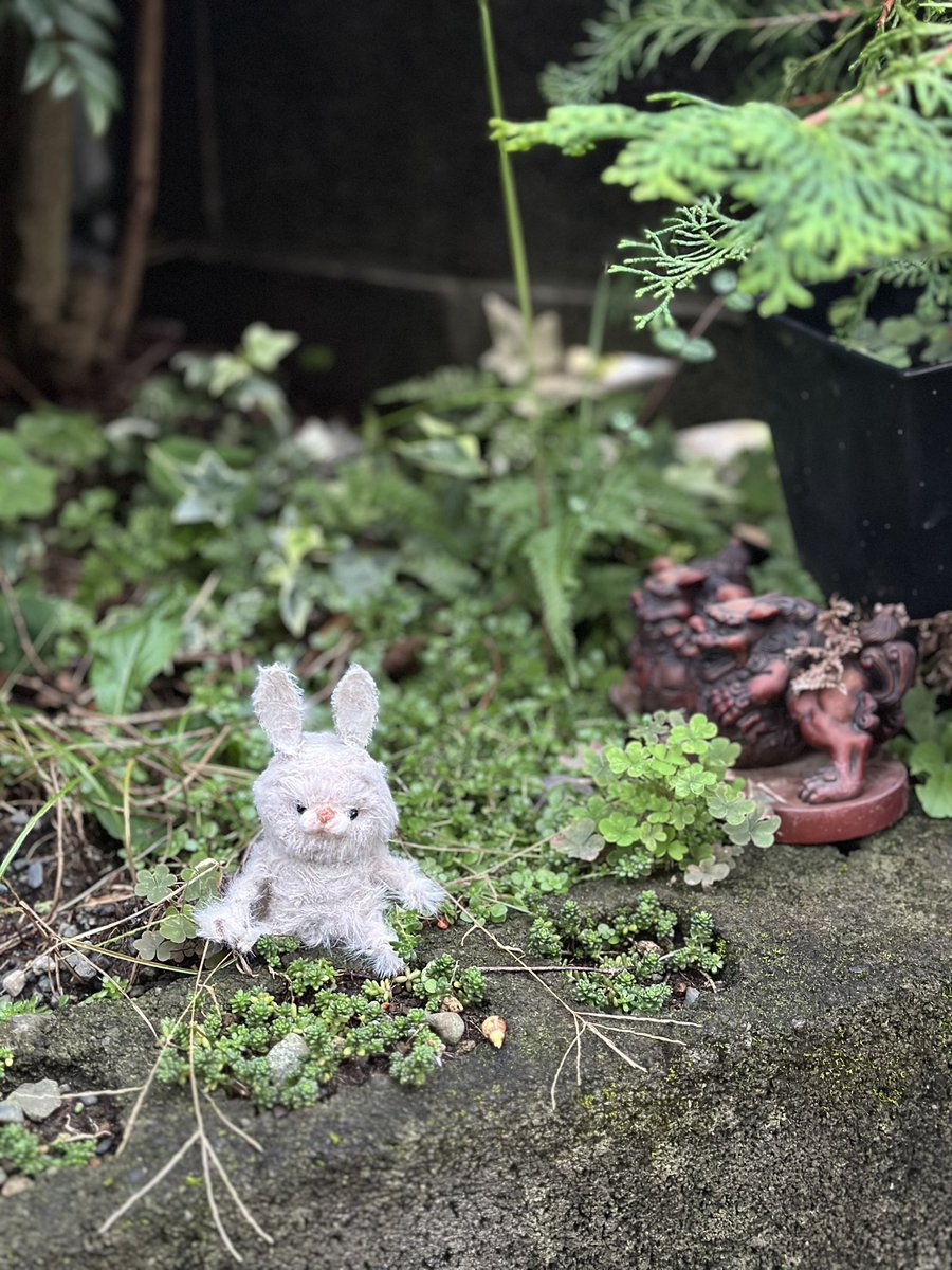 #はじめてのドール　#うさぎ　#ミニチュア