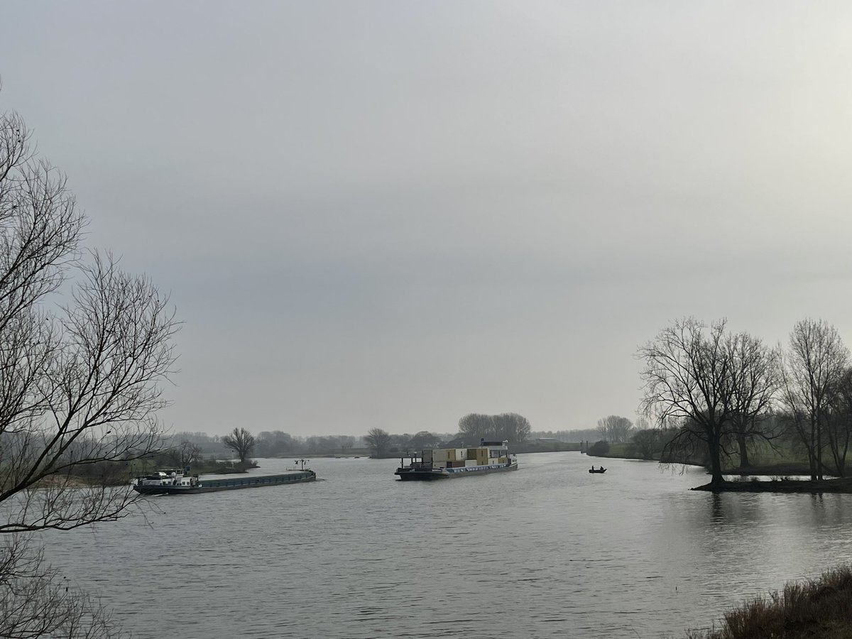 Hier wordt ik blij van. <a href="/Rijkswaterstaat/">Rijkswaterstaat</a>  gaat de bakenbomen langs de Maas vervangen. Elke boom is een  baken van hoop...

Artikel in <a href="/trouw/">Trouw</a> , foto's van mij bij Engelen 22-2-2023