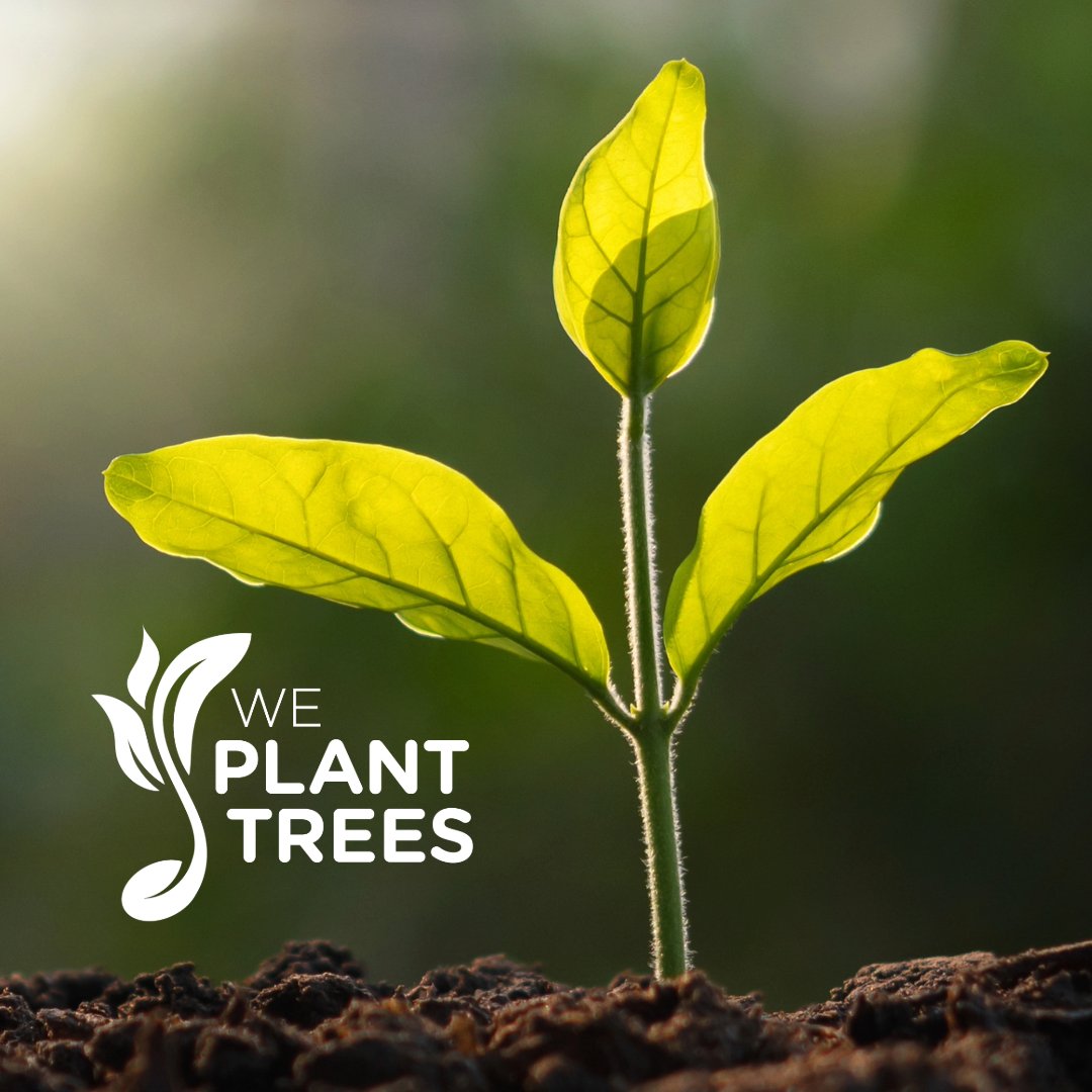 YourNatureLife's tweet photo. Every Your Nature product purchased helps plant trees worldwide. 🌲 

Thanks to our customers we have planted over 5800 trees since April 2023 and we are just getting started!

 #smallbusiness  #plasticfreeliving #naturaldeodorant  #inspiredbynature #treeplanting
#trees https://t.co/33RbbACqEE