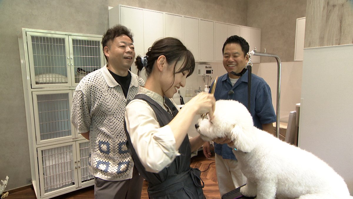 honjitu_daian's tweet photo. ／
今週金曜は #ダイアンなり 
＼

商店街バラエティですが
今回は９月にオープンしたばかり
『うめきた公園』へ🥳

カリフォルニアからの観光客
ピクニックを楽しむ方々も…！
明るく活気ある街並みですが、
津田が少し不安になります。

他にも 緒方Pの愛犬とペットサロンへ。

#ダイアン https://t.co/stl3TrWSYi