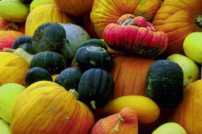 Bad Witch tweet media