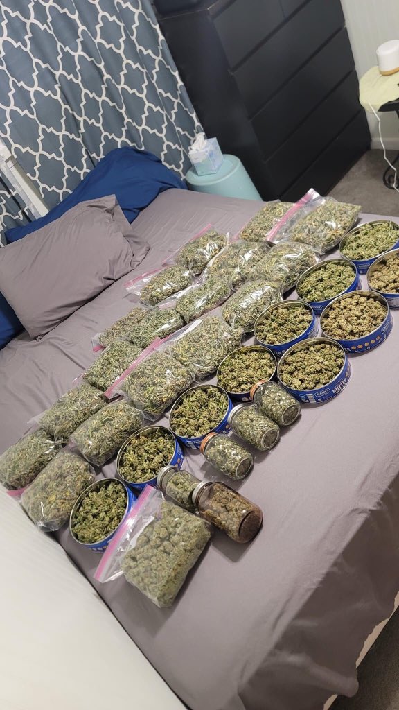 Perfect smoke 💨 

t.me/lord420buds