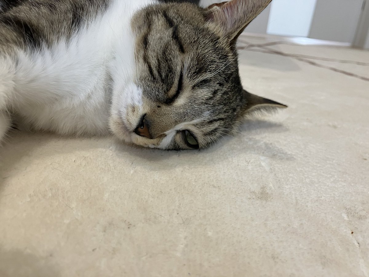 himchan0416's tweet photo. 眠いのわかるけど、
この顔はブスすぎる。 https://t.co/mfdSzIo6R3