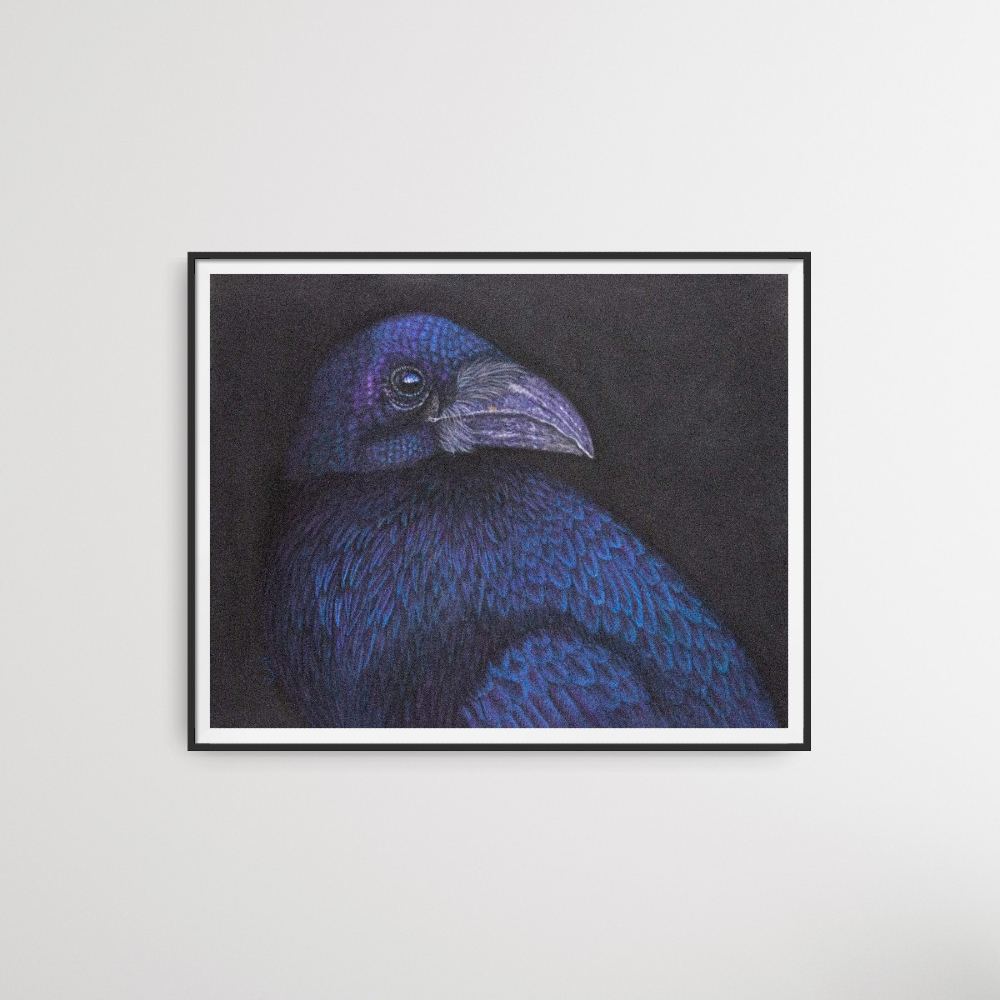 The Watcher is a mesmerizing close-up portrait of a raven. Artist quality Pastel Pencils &amp; Soft Pastels on Clairefontiane Pastelmat. Size is 30 x 40cm. Reference by Ambquinn. 

#softpastels #natureart #wildlifepainting #birdart #raven #realism