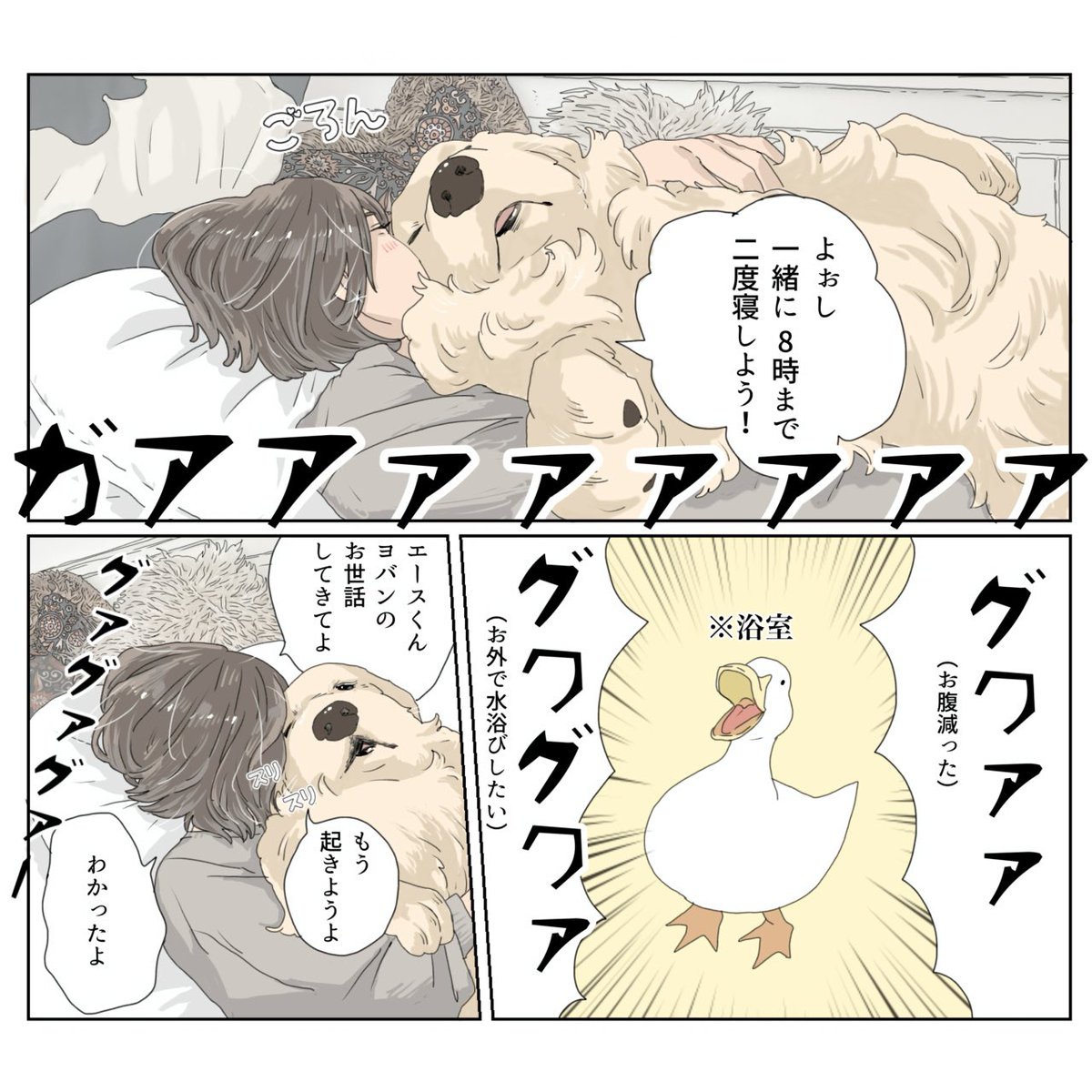 アヒルは朝5時に起きるのでご飯をあげてお水を変えて静かにさせてから僕たちは7時まで二度寝します。
『エースくんとヨバンさん 犬とアヒルの友情物語』11月20日発売/KADOKAWA
ご予約はこちら⬇︎
Amazon→ https://t.co/kKH679L6WO
#漫画が読めるハッシュタグ #エースくんとヨバンさん