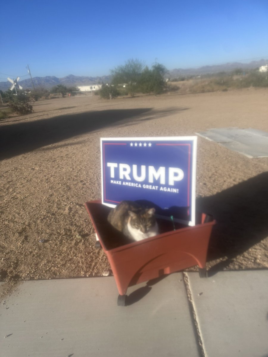 here's a Pussy that no's he's the man this country needs,not a  jocker who's  joy is putting you in harms way