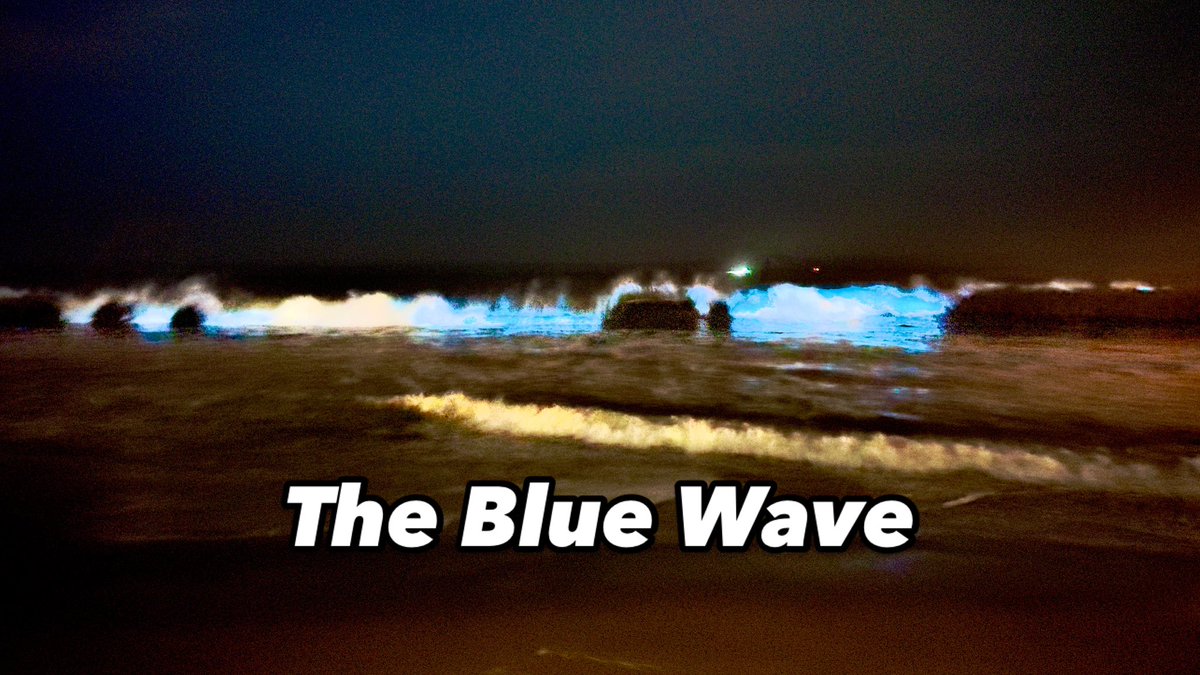 #thebluewave #KamalaHarris #Kamala4President2024