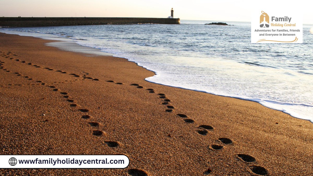 FamilyHolidayC1's tweet image. History Buffs: "Walk in the footsteps of pharaohs, gladiators, and kings. 

Our historical tours bring the past to life for families! 

#HistoryTours #FamilyAdventures #WalkThroughTime