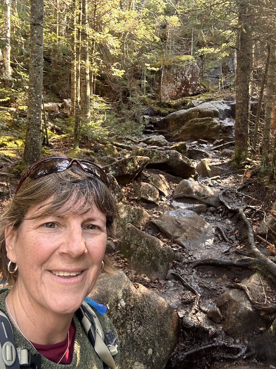 Deb Lawlor (she/her) tweet media