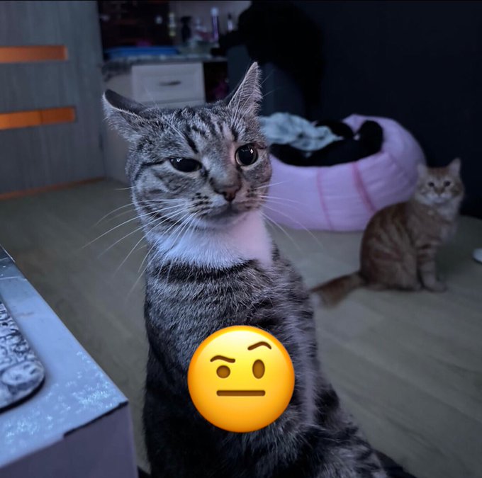 Watch Eve 💗🌸's leaked NSFW photo on TwXstars