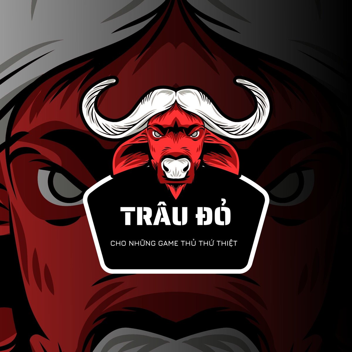 ftinxingti54421's tweet image. �� &quot;Blum: a reminder that big changes start with small steps. #TinyBeginnings&quot;