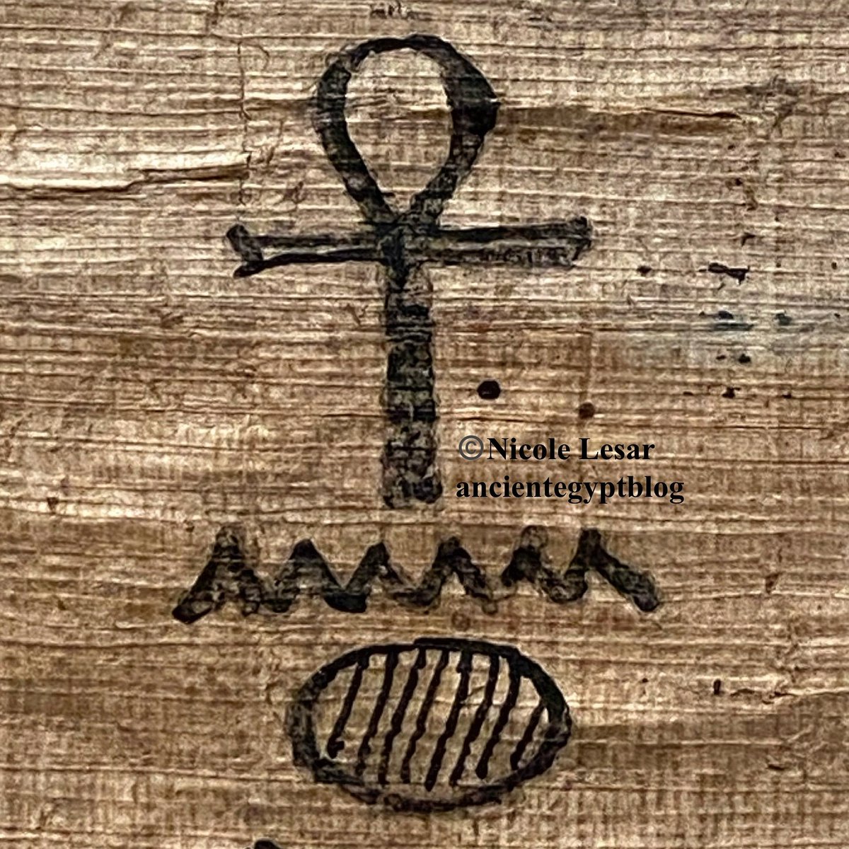 tonyfuo's tweet photo. “Life” - 
This is a piece of papyrus  with the word “Life ” written on it. To the ancient Egyptians 𓆎𓏏𓀀𓁐𓏪, words were powerful because if something was written down, it was put into existence for all eternity 𓆖. This is why they put such importance on preserving the image https://t.co/HXBTZZIg2X