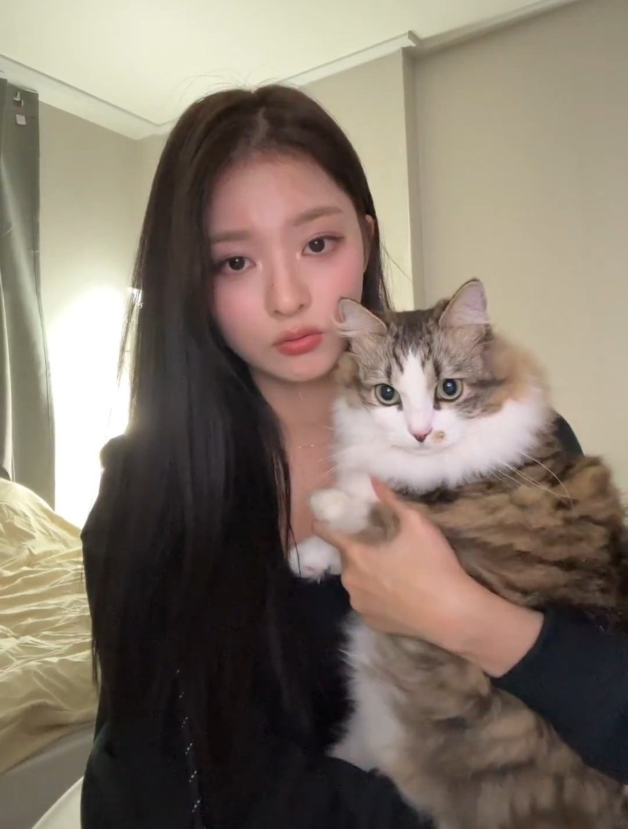 nagyungbangs's tweet photo. nakko &amp; aro 🐱🐱 https://t.co/biVtoYzD2o