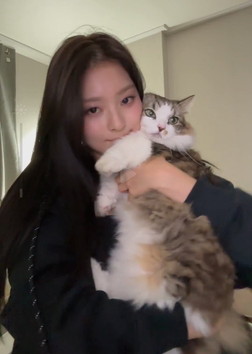 nagyungbangs's tweet photo. nakko &amp; aro 🐱🐱 https://t.co/biVtoYzD2o