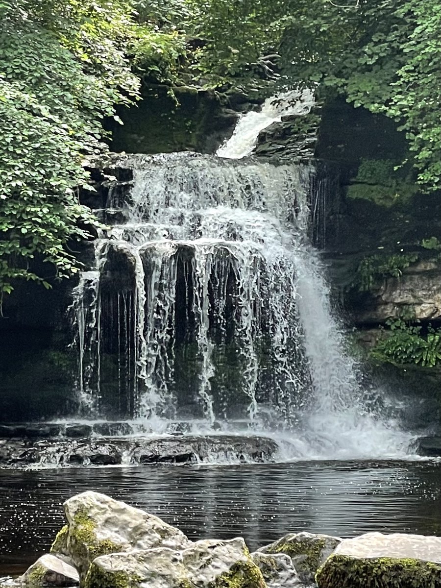 Yorkshire Dales National Park tweet media
