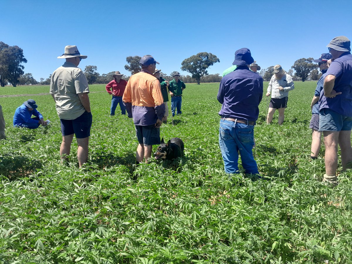 Craig S🧢 tweet media