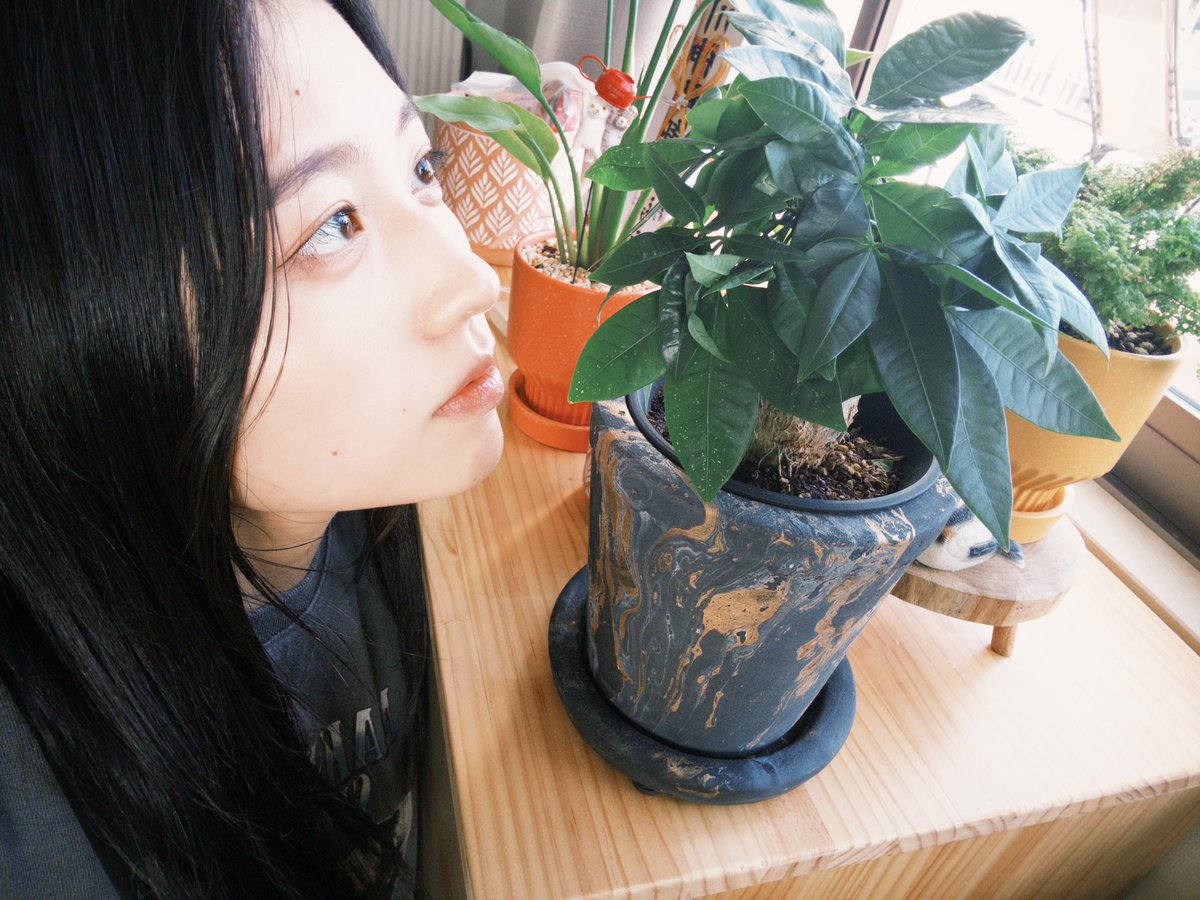 2024/10/30  21歳になりました！

1年経つのが年々早くなっててもう歳取っちゃいました😂
去年より心も体も少しは大人になっていたらと思います！

今年も引き続き女優頑張ります😆
やりたいことをやれる時に！
人生楽しく生きていきます！

写真の植物は、友人からのプレゼントパキラ🌴
可愛い🩷