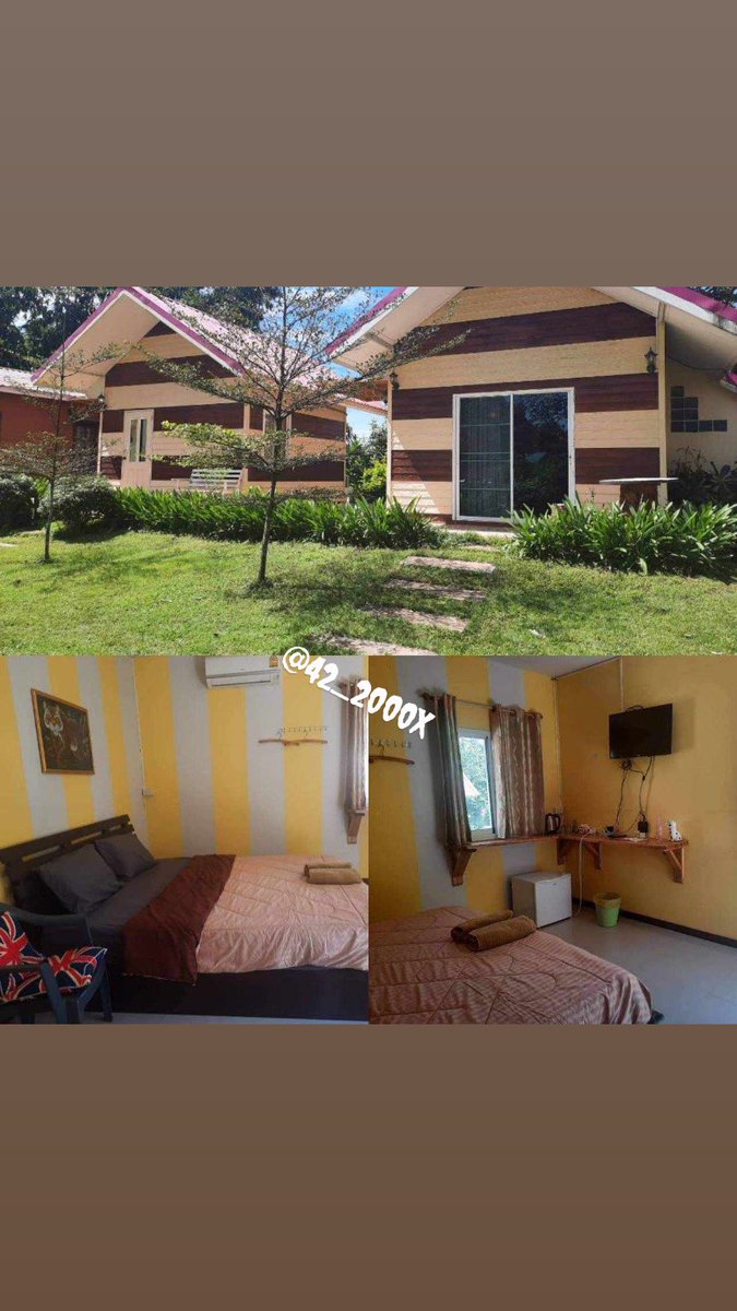 จุ๊บเหม่ง🐻🕸️ tweet media