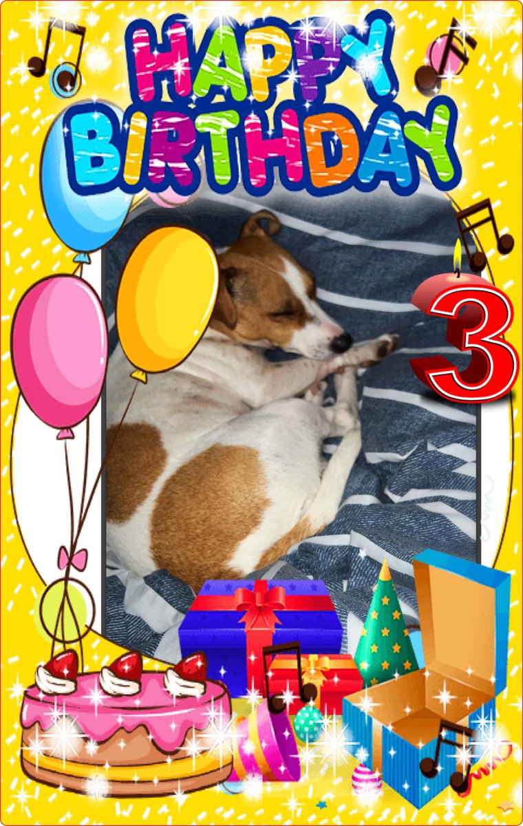Marian_Nel's tweet image. Happy birthday Beautiful Phoebe ❤️🌸🌟🎊 #adoptdontshop #heart #jackrussellsofinstagram #jackrussellterrier #weloveyou #happybirthday ❤️❤️❤️❤️❤️