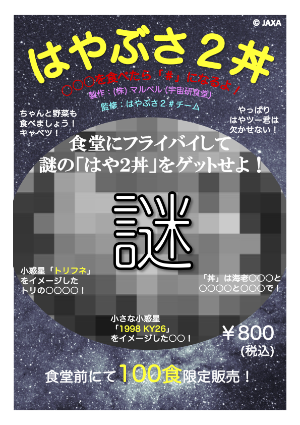 お待たせしました。謎に包まれていた「はや2丼」、答え合わせのチラシ