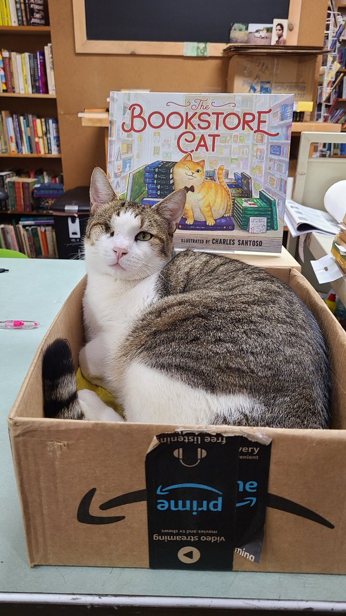 BooksKona's tweet photo. @TheStourbridge What a handsome boy!  (From Tobi) https://t.co/gIAKm2hRWV