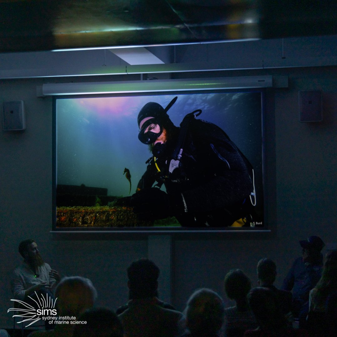 Sydney Institute of Marine Science (@sims_australia) on Twitter photo Last night marked the final session in our series with <a href="/WaverleyCouncil/">Waverley Council</a>, and what a night! 🌊✨ Early-career researcher <a href="/mitch_brennan/">Mitchell Brennan</a> presented on his work from the Sydney Seahorse Project—a joint effort by SIMS & <a href="/UTS_Science/">UTS Science</a> to protect our endangered White's Seahorses 🐴💙 Last night marked the final session in our series with <a href="/WaverleyCouncil/">Waverley Council</a>, and what a night! 🌊✨ Early-career researcher <a href="/mitch_brennan/">Mitchell Brennan</a> presented on his work from the Sydney Seahorse Project—a joint effort by SIMS & <a href="/UTS_Science/">UTS Science</a> to protect our endangered White's Seahorses 🐴💙