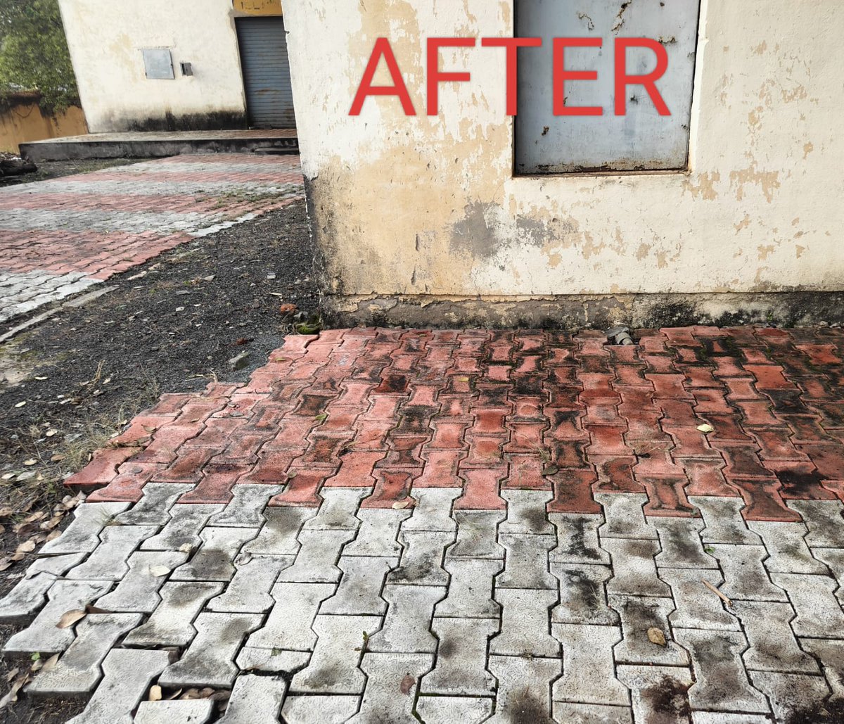Cleaning of Area beside boundary wall of Divisional Office was carried out <a href="/FciHubballi/">FCI DIVISIONAL OFFICE HUBBALLI</a>  as part of Special Campaign 4.0
#SpecialCampaign4 <a href="/FciKarnataka/">FCI_Karnataka</a> <a href="/fcisouthzone_pr/">FCI ZO South</a> <a href="/FCI_India/">Food Corporation of India</a> <a href="/FCI_India/">Food Corporation of India</a>