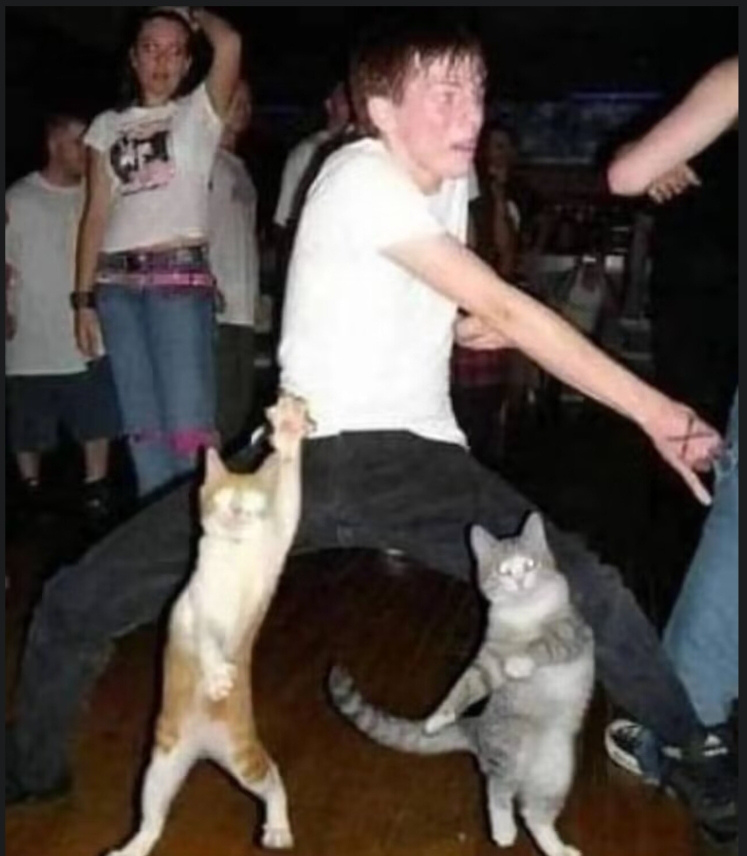 XMLZB's tweet image. #Transformers #Soundwave 
Dance
原图在P2