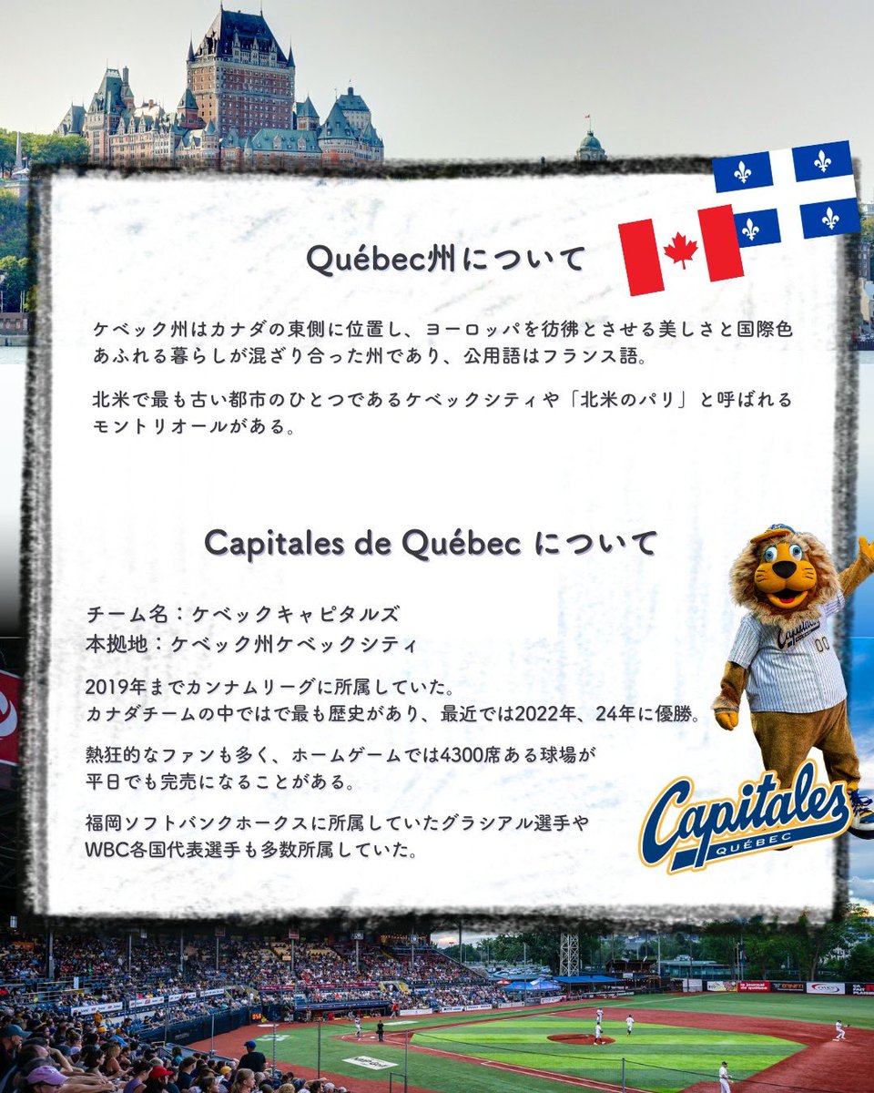 ovs_sports073's tweet photo. 【北米プロチームが日本トライアウト開催⚾️】
　
⚾️ ケベックキャピタルズ トライアウ���2025🇯🇵
📅 2025年1月11日(土) 12日(日)
📍おふろCafeハレニワスタジアム熊谷

MLB Partner Leagueであるフロンティアリーグに所属するケベックキャピタルズが日本トライアウトを実施いたします。 https://t.co/eesd4jSuNa