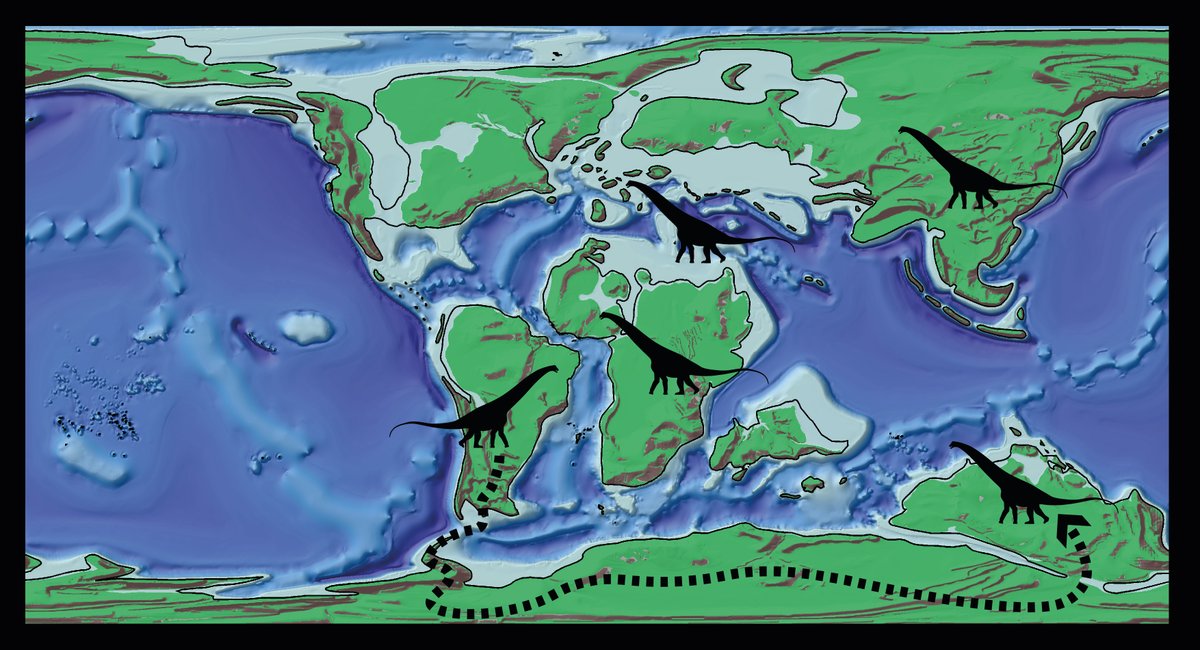 Alessandro Chiarenza (@aalechiarenza) on Twitter photo 🦕🌎Excited to see our latest review on dinosaur palaeobiogeography, coauthored with Paul Upchurch (<a href="/ES_UCL/">EarthSciences UCL</a>), published today in Biology Letters (<a href="/RSocPublishing/">Royal Society Publishing</a>). 1/8 🔗 royalsocietypublishing.org/doi/10.1098/rs… 🦕🌎Excited to see our latest review on dinosaur palaeobiogeography, coauthored with Paul Upchurch (<a href="/ES_UCL/">EarthSciences UCL</a>), published today in Biology Letters (<a href="/RSocPublishing/">Royal Society Publishing</a>). 1/8 🔗 royalsocietypublishing.org/doi/10.1098/rs…