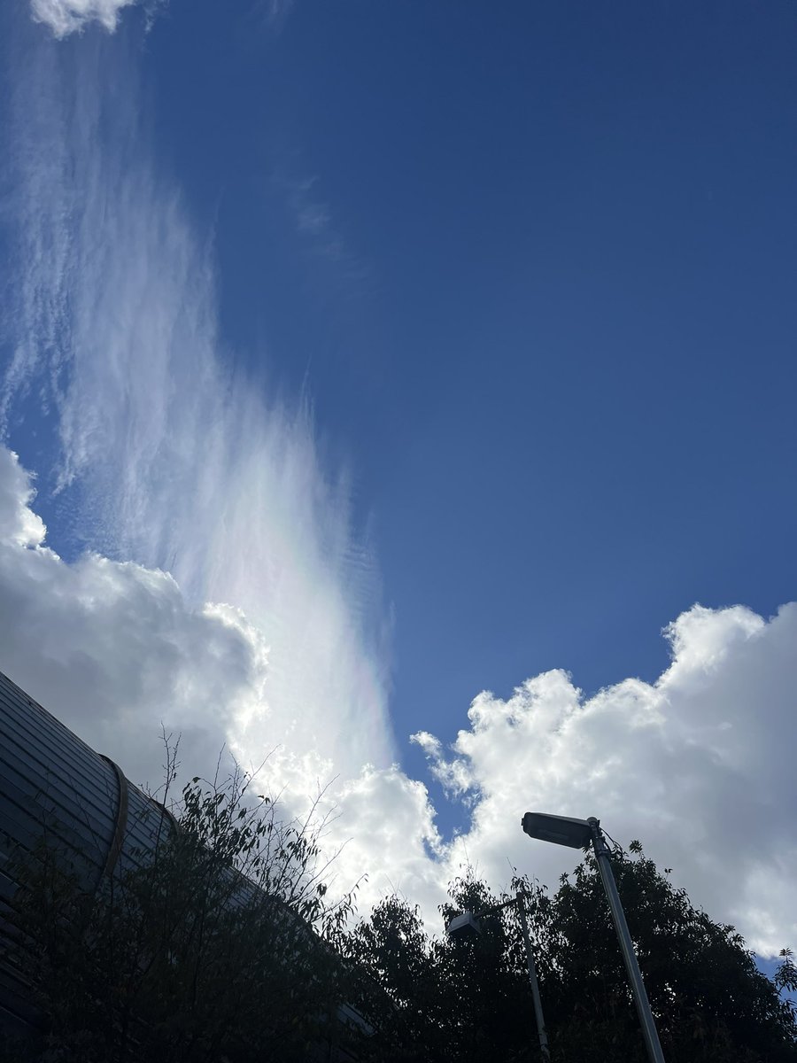 me17fa's tweet photo. 少し冷たい風と空

10月30日は
忘れたくない思い出が詰まった日 https://t.co/jC0CrEsMKp