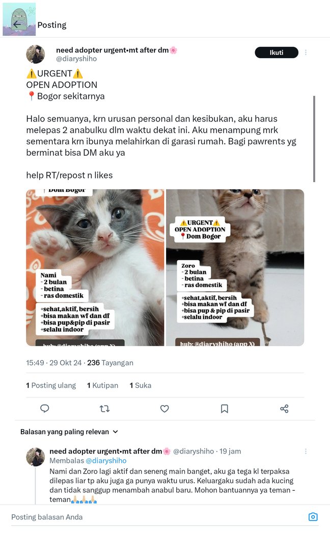 tanyakanrl's tweet image. 💚 ⚠️URGENT⚠️
OPEN ADOPTION 
📍Bogor sekitarnya 

Halo semuanya, aku mau open adopt free 2 anabulku, bersedia merawat serius dan mampu secara finansial. Sekiranya ada pawrents yg berminat bisa DM @/diaryshiho 

untuk detail adopsinya bisa cek di thread ini