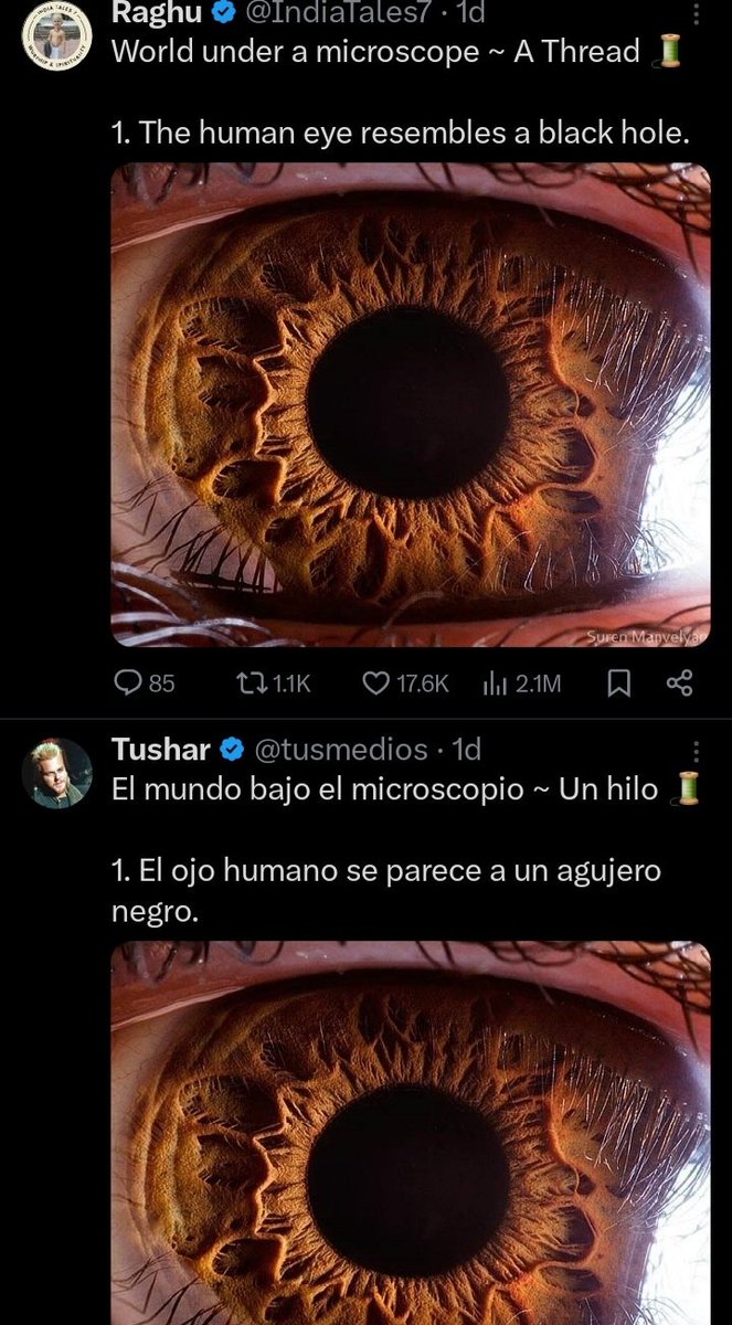 dxlmaoo's tweet photo. @tusmedios e https://t.co/vPffHxr2hv