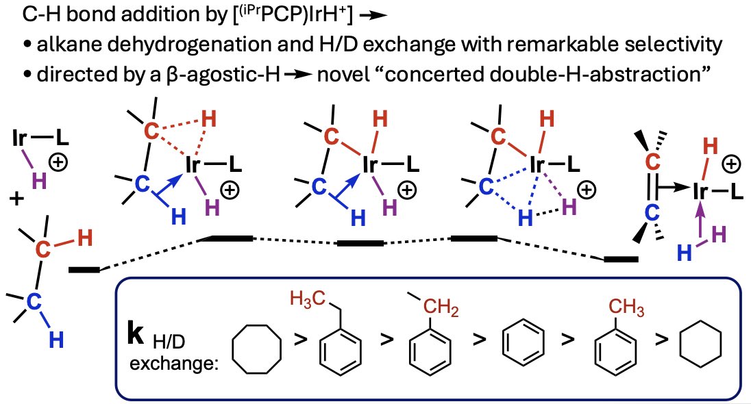 Goldman Group (@goldman_group) on Twitter photo 🚨Check out this new preprint go.shr.lc/4f6mlGG by <a href="/Parihar_chemist/">Ashish</a> of <a href="/Goldman_Group/">Goldman Group</a> at <a href="/RutgersChem/">Rutgers University, Chemistry & Chemical Biology</a> reporting (iPrPCP)IrH+ for dehydrogenation, hydrogenation & H/D exchange with unusual selectivity. Proceeding via a novel mechanism of C-H addition & beta-H elimination. 🚨Check out this new preprint go.shr.lc/4f6mlGG by <a href="/Parihar_chemist/">Ashish</a> of <a href="/Goldman_Group/">Goldman Group</a> at <a href="/RutgersChem/">Rutgers University, Chemistry & Chemical Biology</a> reporting (iPrPCP)IrH+ for dehydrogenation, hydrogenation & H/D exchange with unusual selectivity. Proceeding via a novel mechanism of C-H addition & beta-H elimination.