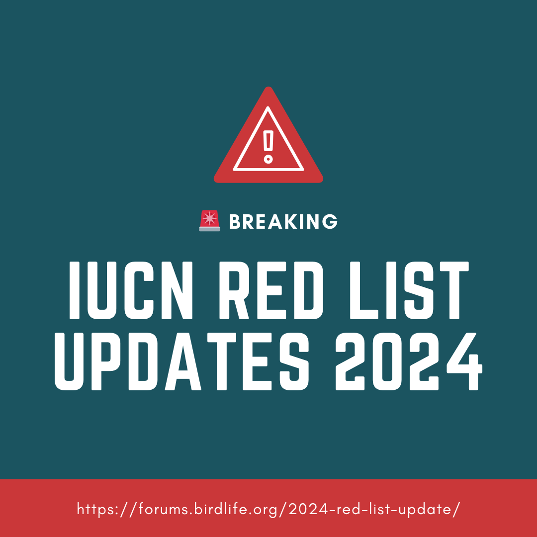 WWFAsianFlyways's tweet photo. 🌍 IUCN Red List Updates 2024 
🚨 BREAKING: More waterbird species have been uplisted to globally threatened categories! Urgent conservation action is needed to protect these incredible birds and their precious habitats. 🌊🦆🦢🦤
https://t.co/X0VesJrVUb
#IUCN #RedList https://t.co/g4MEZKwYqe