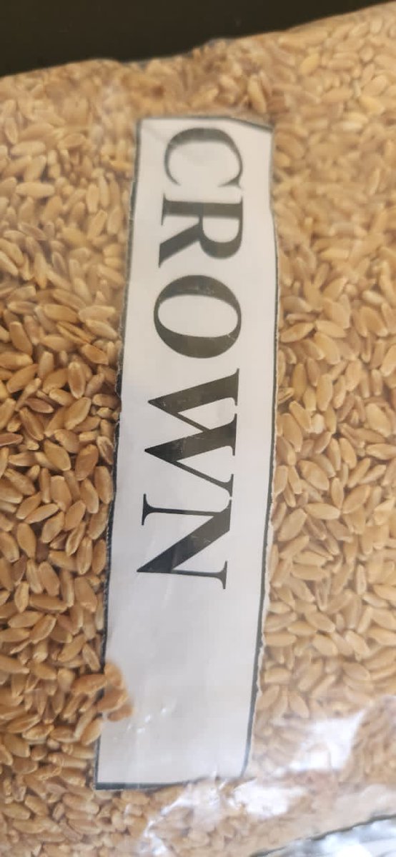 MalaKachalla's tweet photo. LCRI is pleased to announce TSC's approval of its presented crop varieties: 1 Durum Wheat (ICARDA-derived) and 3 Barley (SECOBRA-derived) for registration &amp; release. Supported: NB Plc &amp; Olam Agri @CrownFlourMill @ICARDA @CIMMYT @fillobax @AfDB_Group @AHEAD_wheat @WecaWheat97225 https://t.co/mNeoleTlCq