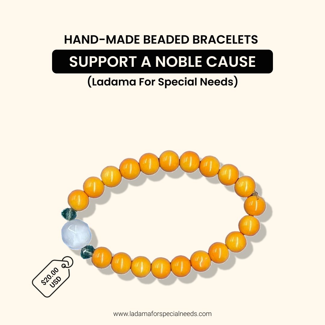 LadamaSpedNeeds's tweet photo. Fashion with Heart – Every Bracelet Supports Special Children 🌟

📷Grab Yours: https://t.co/a71zlLjVKw

—--- 
#ladama #supportspecialneeds #charityjewelry #wearwithpride #DWTS #PokemonTCGPocket #RHONY https://t.co/MCYK3PF48c