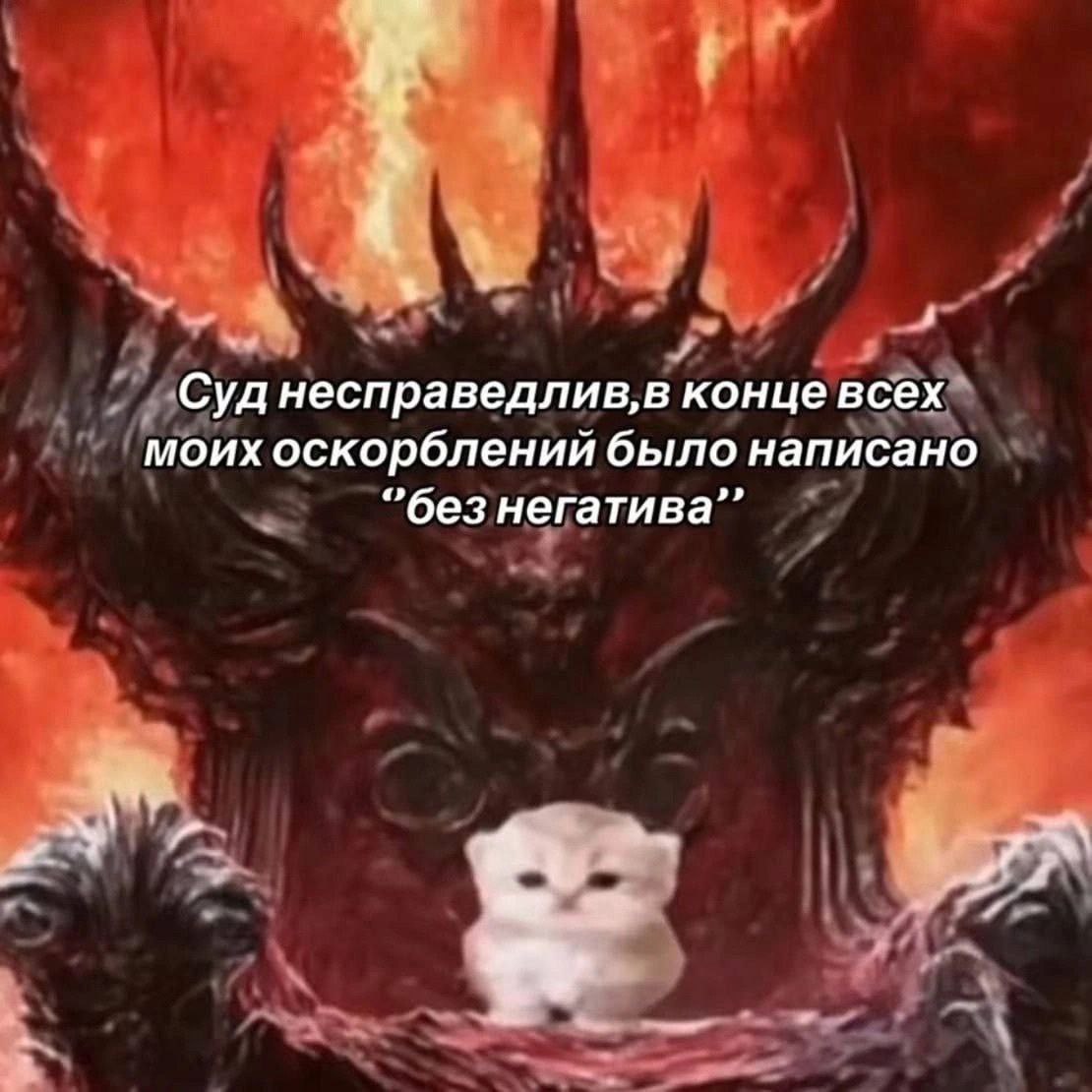 cats, i love cats (@catsilcats) on Twitter photo 