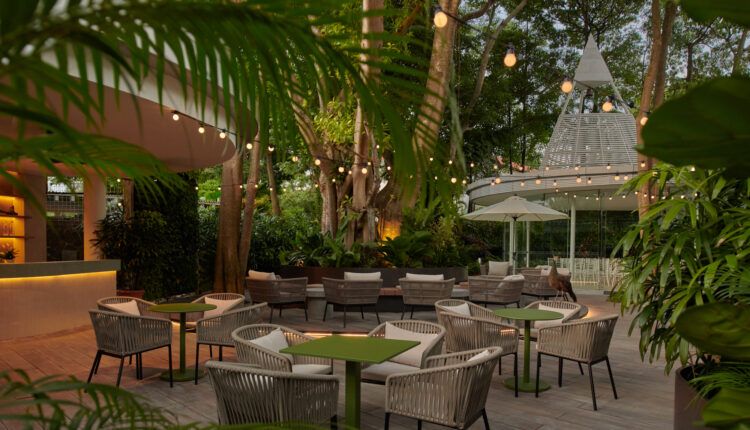 TravelDailyHQ's tweet image. Elegant interiors that honour its history and the environment are what sets the Amara Sanctuary Sentosa apart from the competition. #hoteldesign #singaporehospitality #hotelsandresorts
traveldailymedia.com/amara-sanctuar…