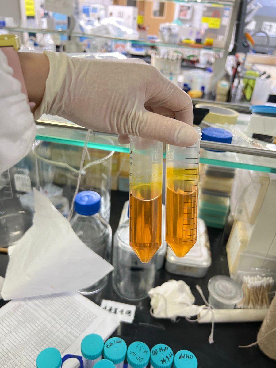 NESTBiotechnol1's tweet image. See what researchers love about Nest! 🧪 Our Cell Culture Plates, Dishes, Inserts, Flasks, and BioFactory are affordable, safe, and lab-ready. Perfect for bio-labs worldwide! 
#CellCulture #LabConsumables #NestBioTech #AffordableLabTools